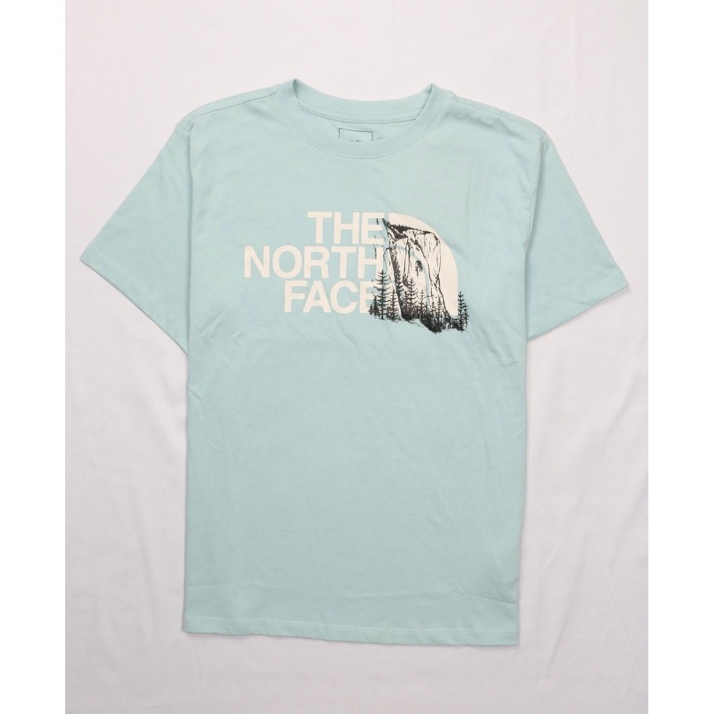 The North face Novelty Graphic Tee Muted Pine Size S Crew Neck Short Sleeve